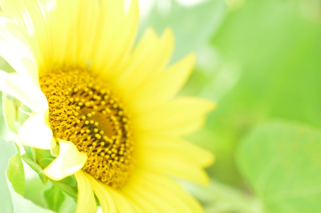 夏っぽい色のカラーコードを使ったデザイン例