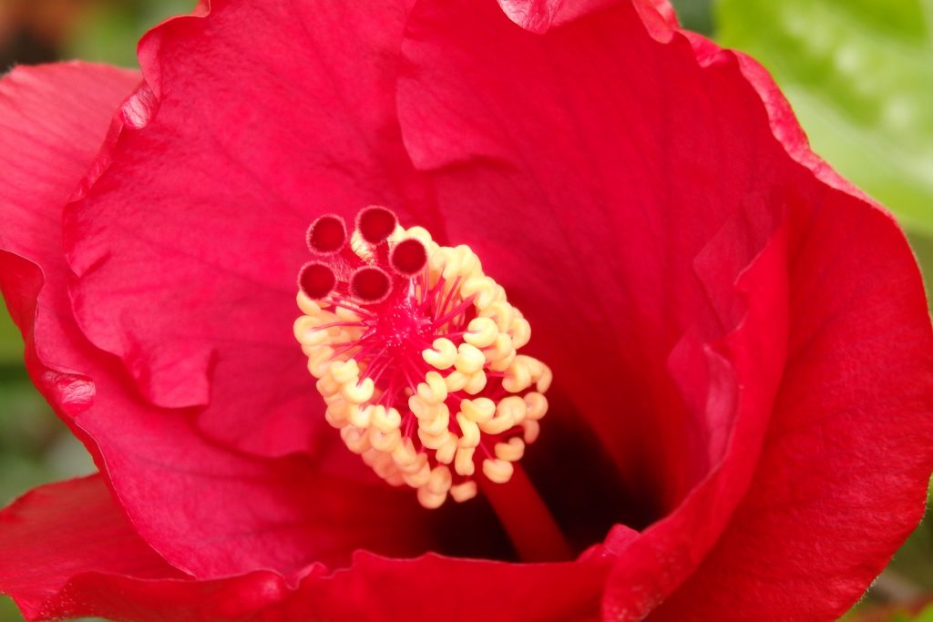 夏っぽい色で作るWebデザイン