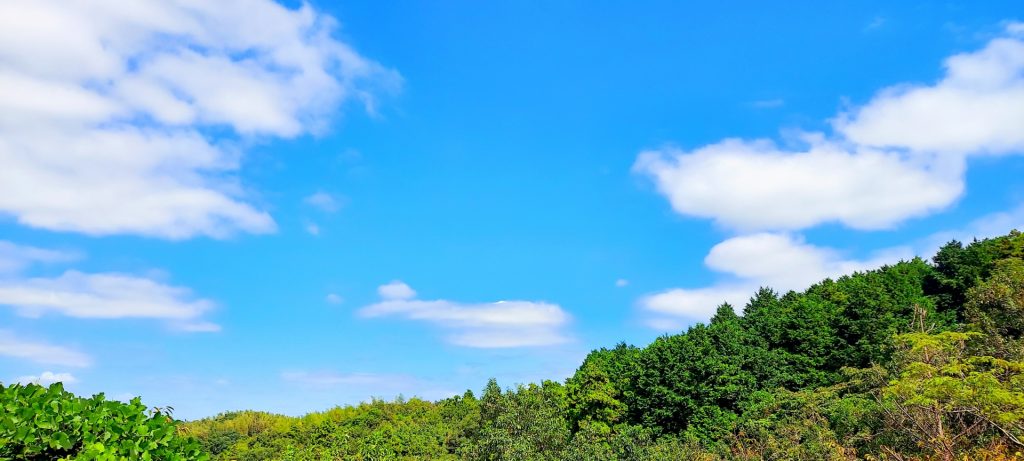 夏らしいデザインを作るための配色のポイント