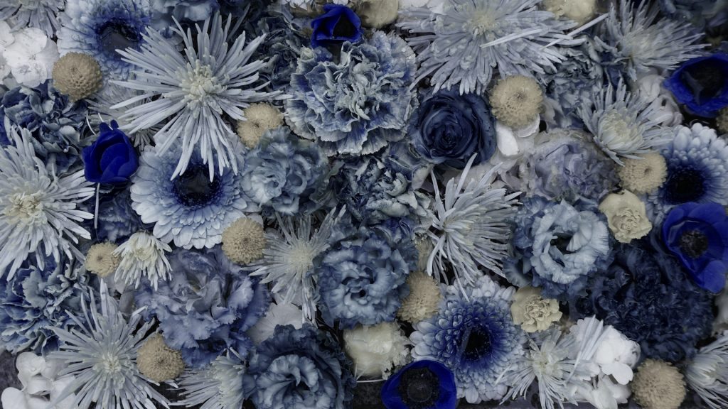 叛逆明朝とは何か？その魅力に迫る