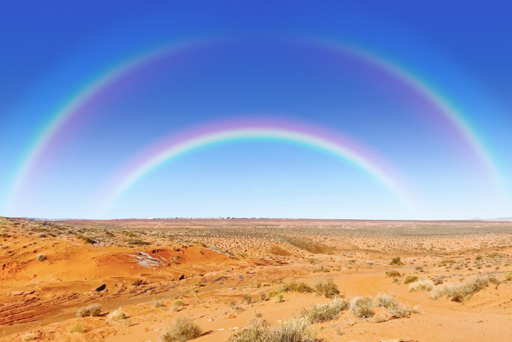 デザインにおける手書き風フォントの未来